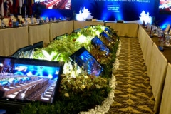 sewa plama tv bali - viusal system
