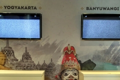 sewa plasma tv bali - viusal system